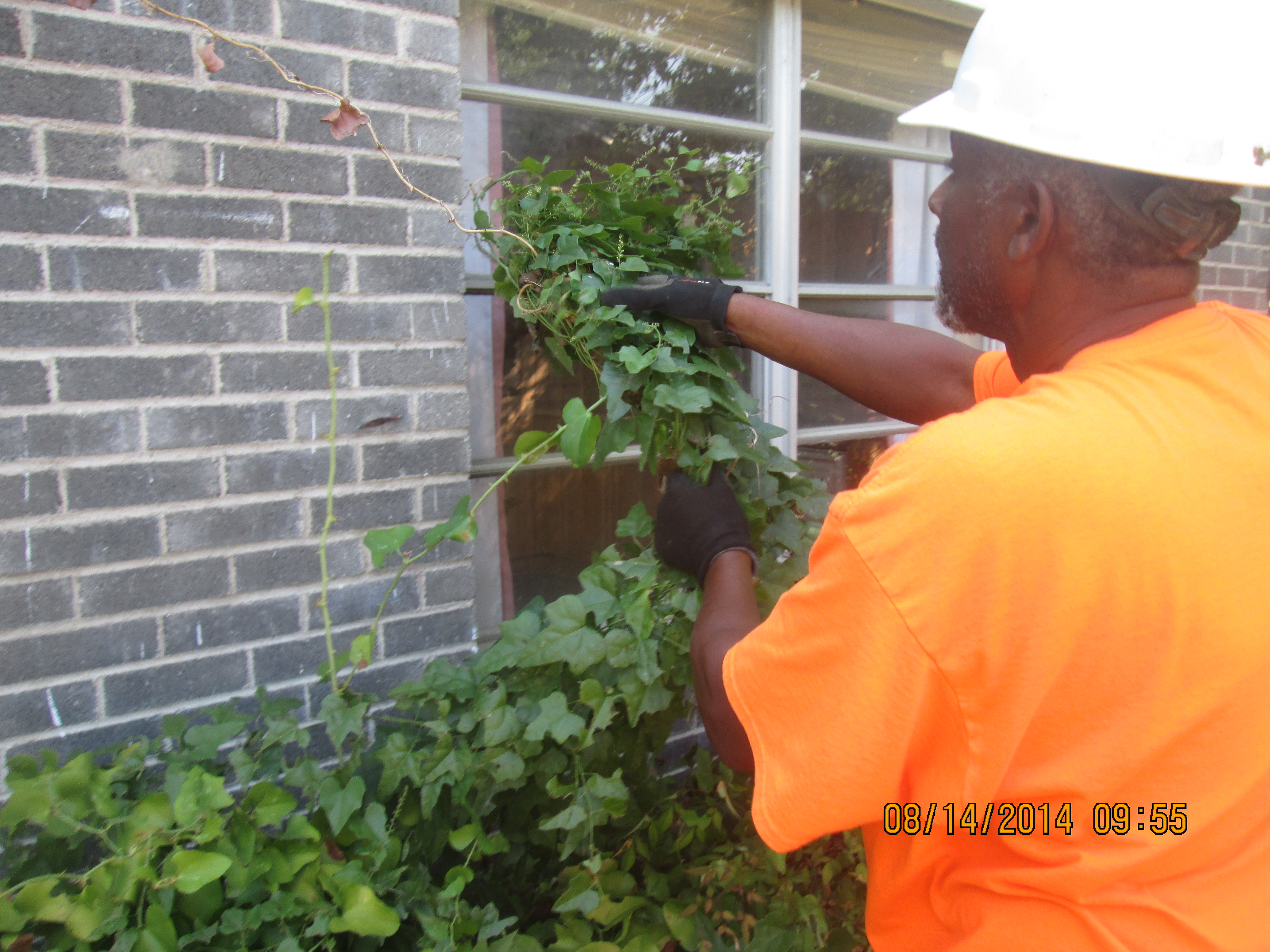 Property Preservation | We are a family owned company, our goal is to always give 100%